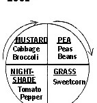 rollie2001 rollie2001