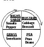 rollie2002 rollie2002