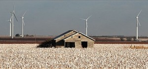 Impact of AgriBusiness