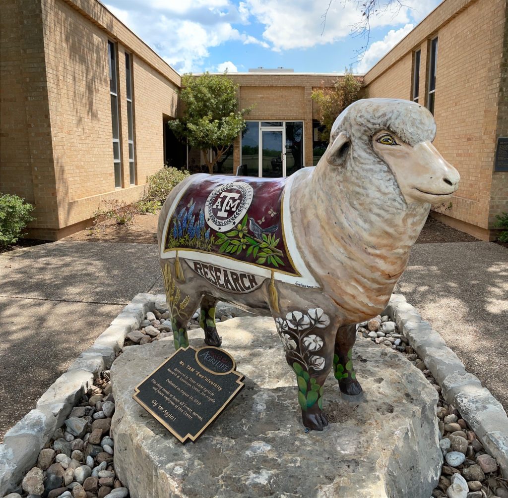 sheep statue