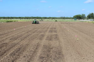 Photo of Tractor in a field