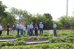 Teaching on Genetic Environment Management