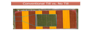 Image demonstrating conventional till vs. no till